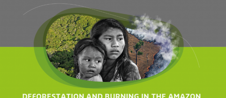 Understanding the Crisis of Deforestation and Burning in the Amazon