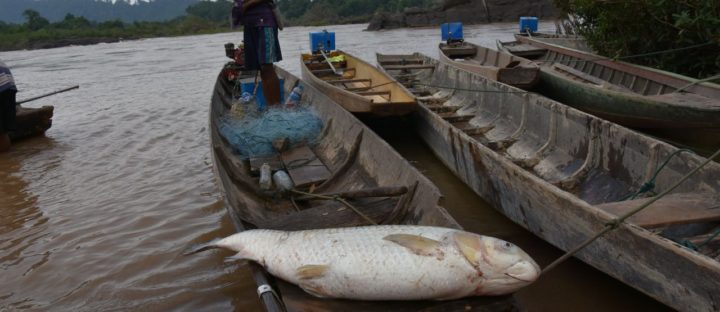 Troubled Waters: Mekong’s future remains uncertain as Thailand lights fuse on rapids-blasting project