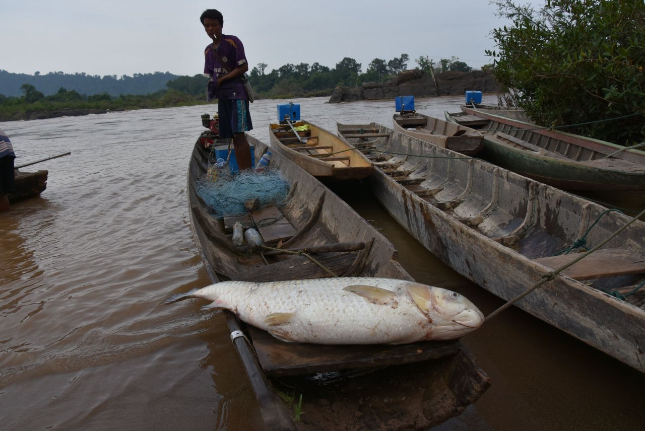 Revealed: The Shocking Truth About How Much a Fishing Boat Really Costs! Factors affecting the cost of a fishing boat