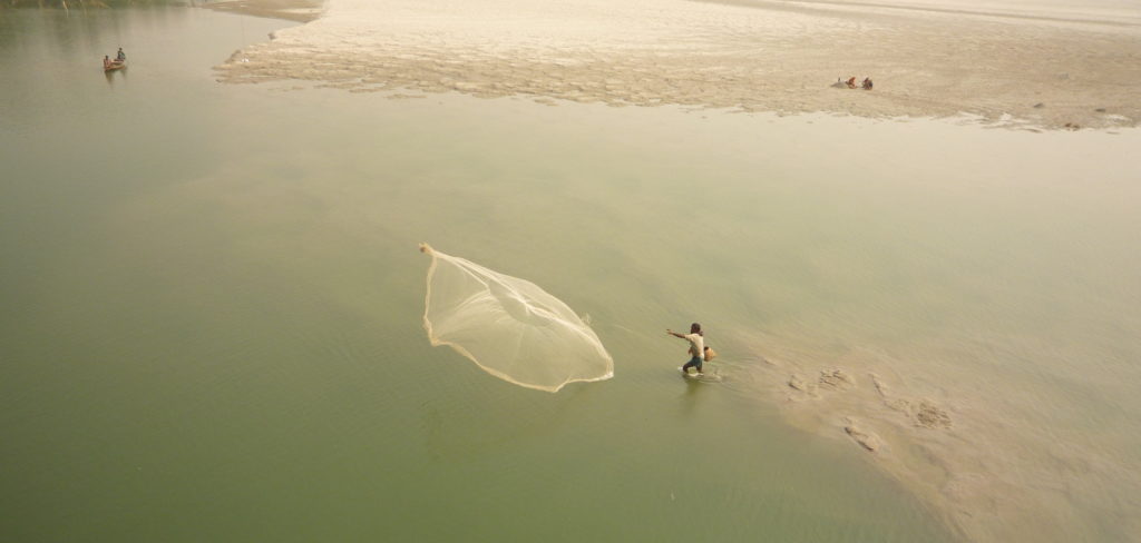 A man casts a large fishing net out into Teesta river. 