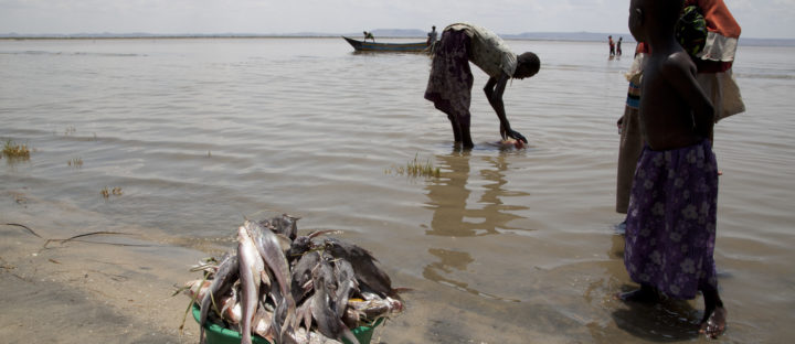 PRESS RELEASE |   UNESCO World Heritage Committee inscribes Kenya’s Lake Turkana as “in danger” over Gibe Dam impacts