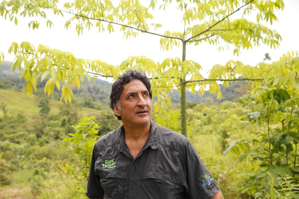 Rafael Gallo at the Pacuare reserve. He looks up to the right. Behind him is a scene of light green foliage, with a beautiful light green tree behind his right shoulder. He wears a Rios Tropicales uniform.