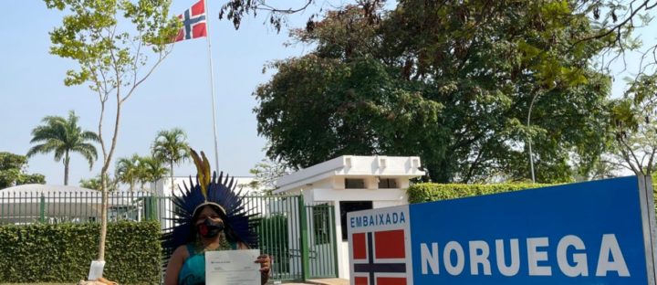 Indigenous and environmental activists delivered a Jatoba tree to Norway’s embassy, protesting against the destruction of Amazon rainforest