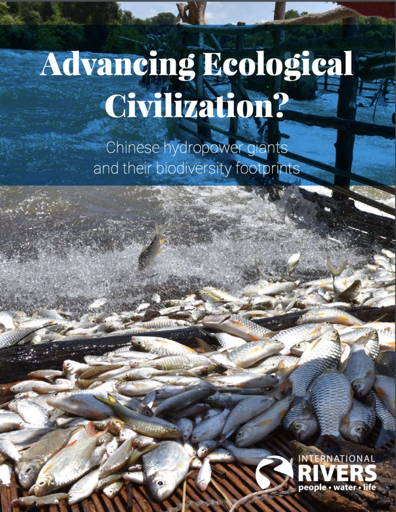 Advancing an Ecological Civilization? report