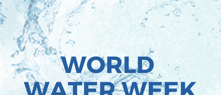 World Water Week 2022: The Value of Water