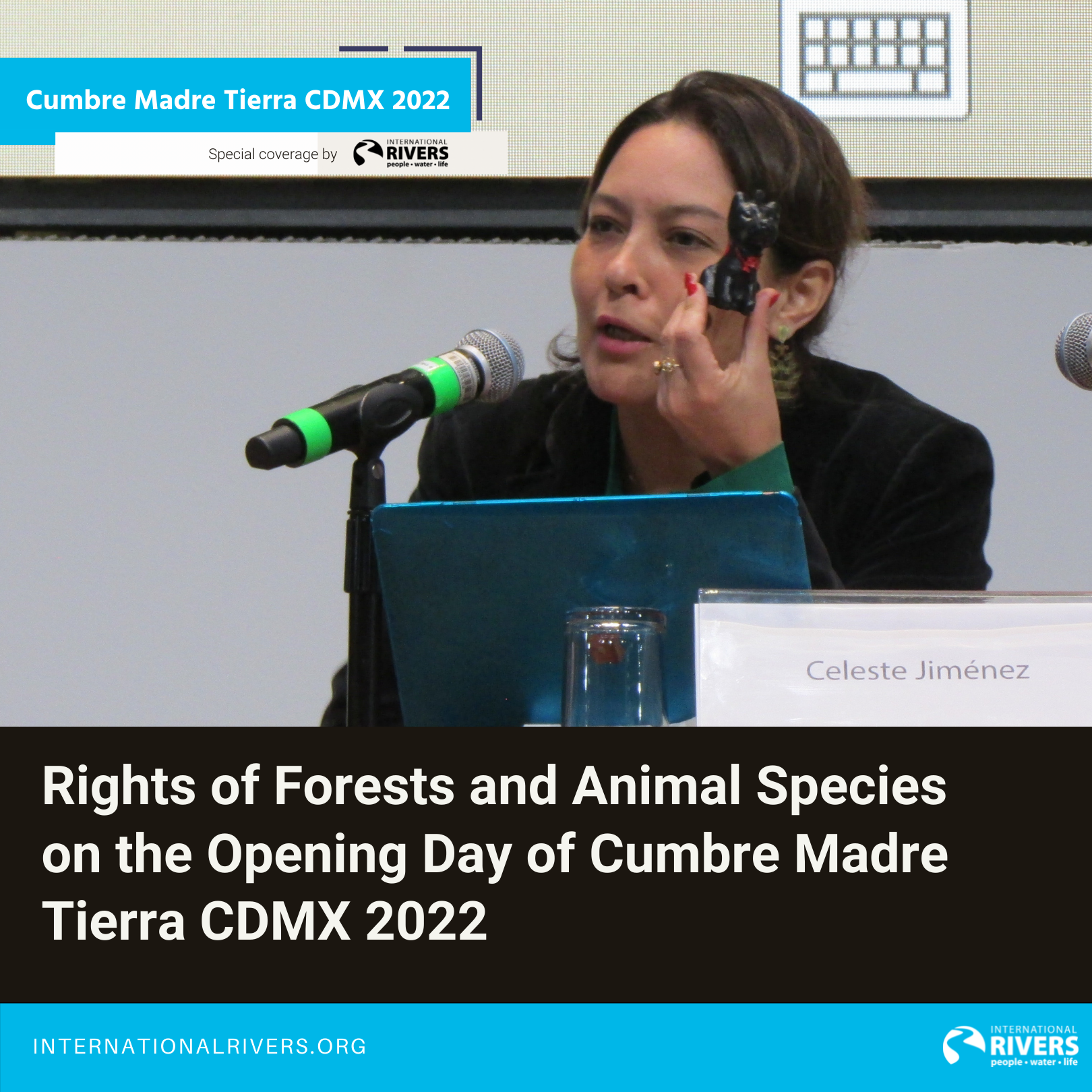 Rights of Forests and Animals Species on the Opening Day of Cumbre Madre Tierra CDMX 2022