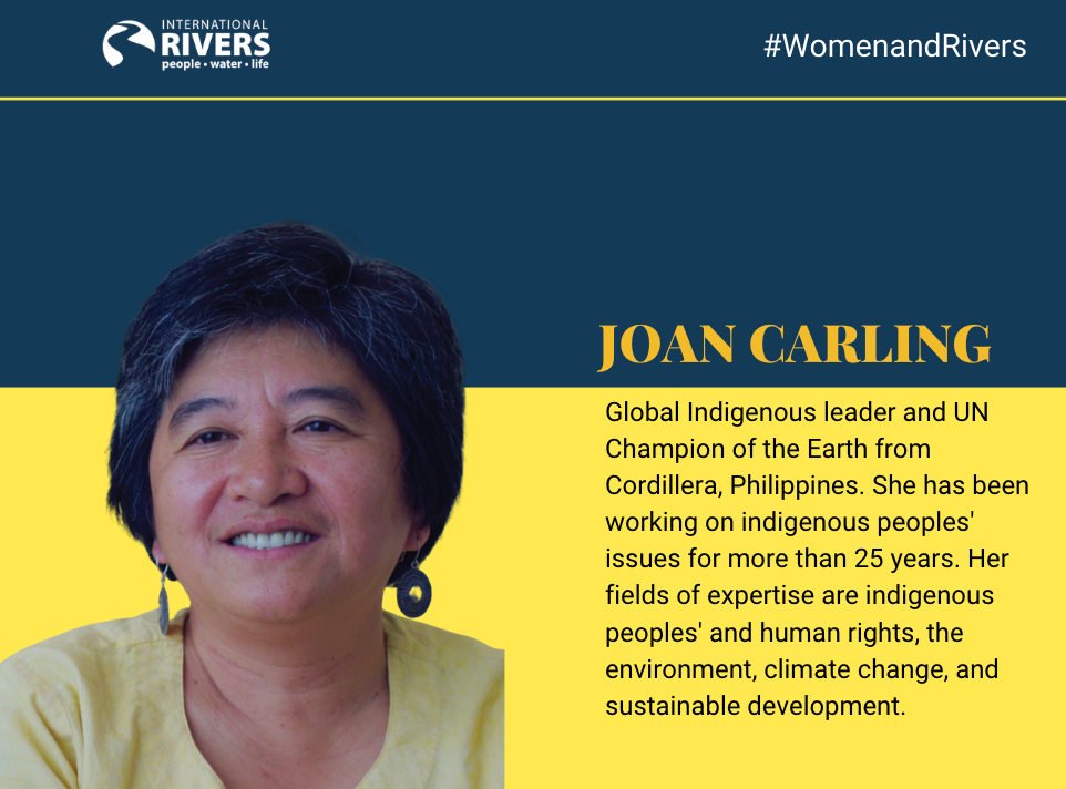 Joan Carling: Global Indigenous leader and UN Champion of the Earth from Cordillera, Philippines. She has been working on indigenous peoples' issues for more than 25 years. Her fields of expertise are indigenous peoples' and human rights, the environment, climate change, and sustainable development.
