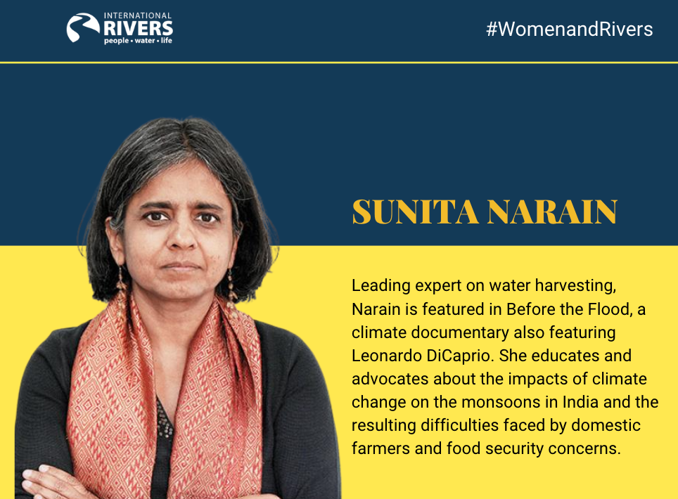 Sunita Narain: Leading expert on water harvesting, Narain is featured in Before the Flood, a climate documentary also featuring Leonardo DiCaprio. She educates and advocates about the impacts of climate change on the monsoons in India and the resulting difficulties faced by domestic farmers and food security concerns.