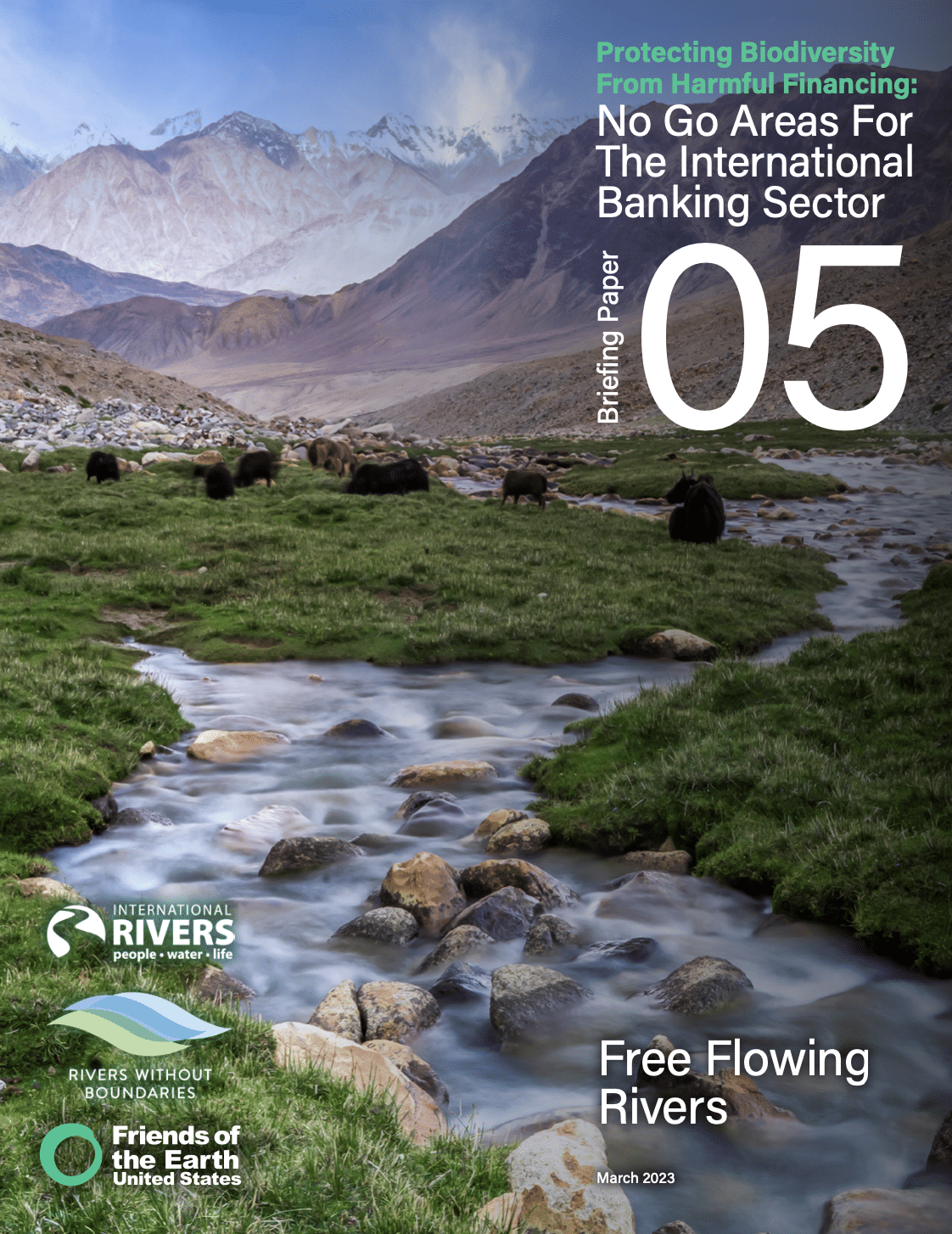 Protecting Biodiversity from Harmful Financing: No Go Areas for the International Banking Sector
