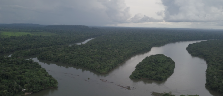 PRESS RELEASE | Community Triumph: Proposed Castanheira Hydropower Dam Denied in Mato Grosso, Brazil