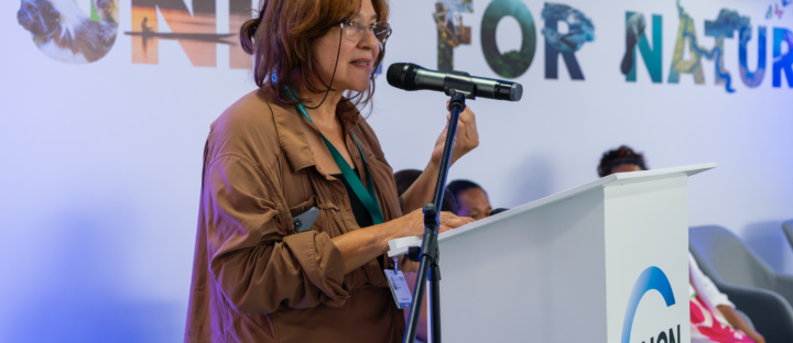 Rising Tides of Hope: Advancing River Protection at COP16 CBD