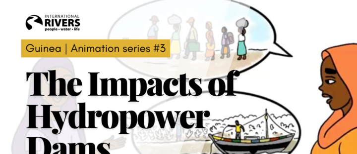 Animation Series on Adverse Impacts of Hydropower projects on the Guinea’s river systems