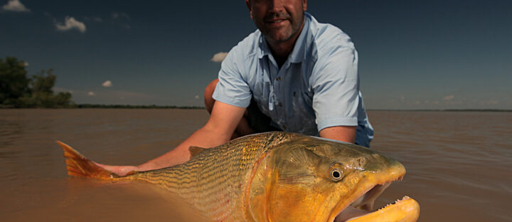 Migratory Fish Cannot Wait: The Crisis Unfolding Beneath the World’s Rivers