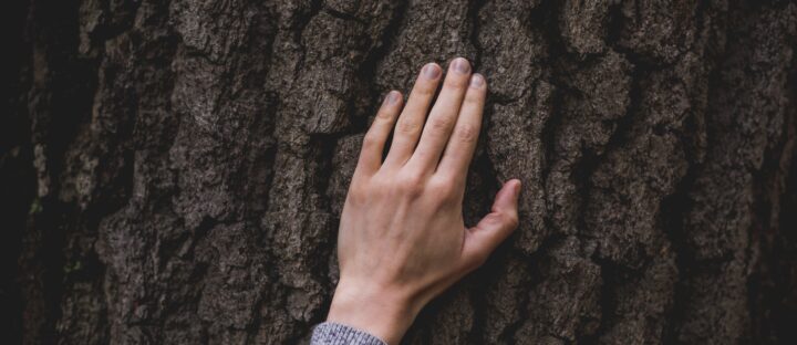 Open letter urges EU to center human rights in a strengthened partnership with Vietnam